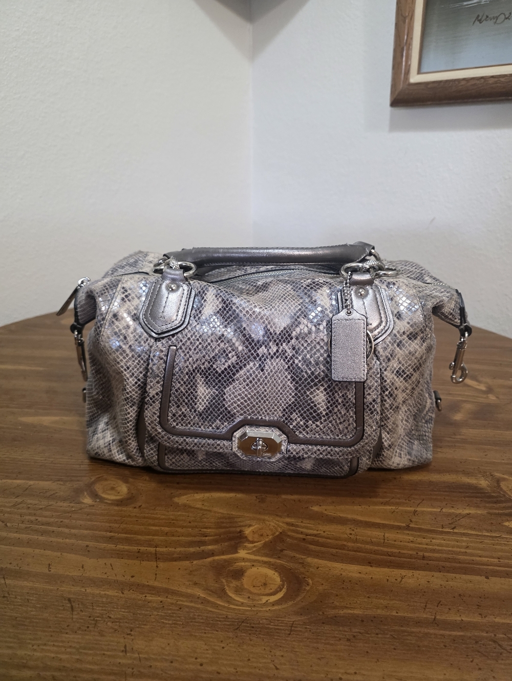 Coach Campbel Izzi Exotic Pyhton Emossed